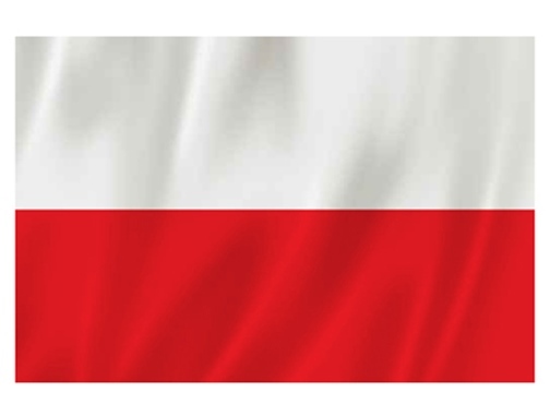 Dzień Flagi i Święto Konstytucji Rzeczypospolitej Polskiej