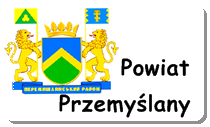logo przemyslany.www